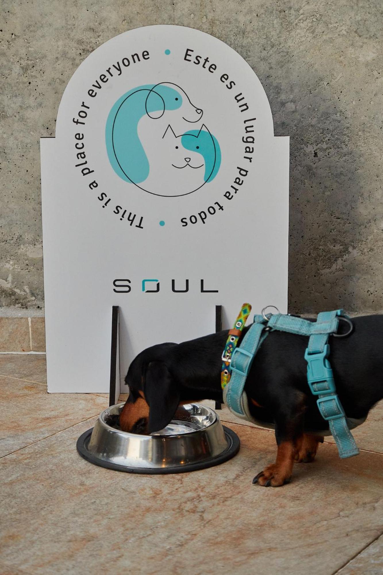 Soul Lifestyle Hotel เมเดยิน ภายนอก รูปภาพ